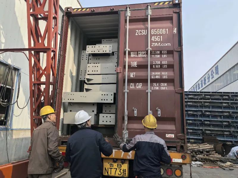 ส่วนประกอบโครงสร้างเหล็กสำหรับโครงการคลังสินค้าเหล็กขนาดใหญ่ในชิลีประสบความสำเร็จในการจัดส่ง ซึ่งสนับสนุนการก่อสร้างศูนย์กลางโลจิสติกส์ในท้องถิ่น